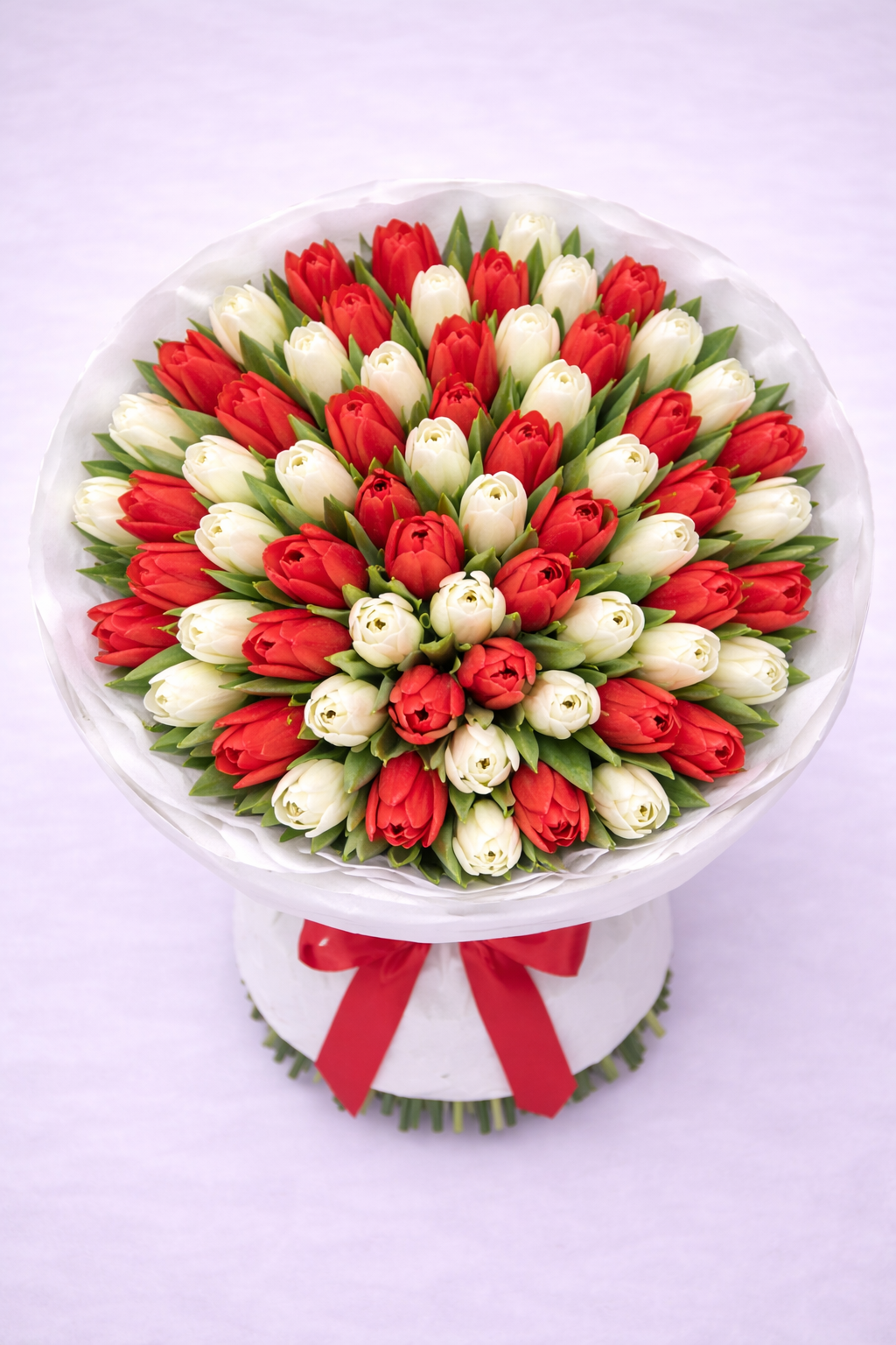 Lova Red & White Tulips
