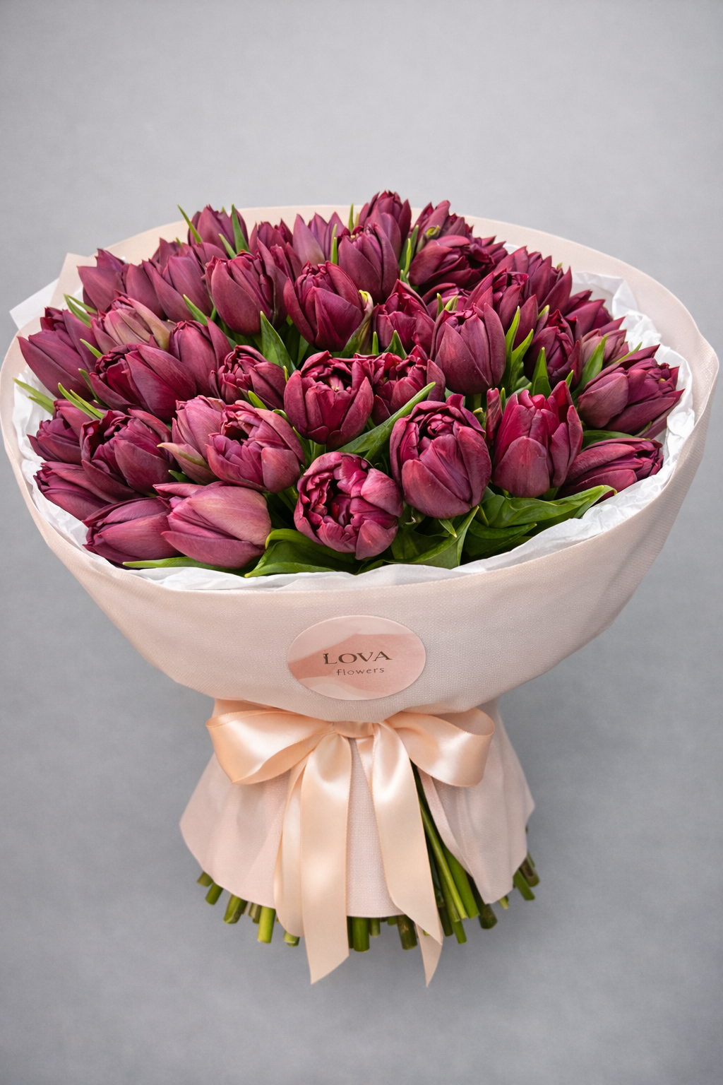 Lova Burgundy Tulips