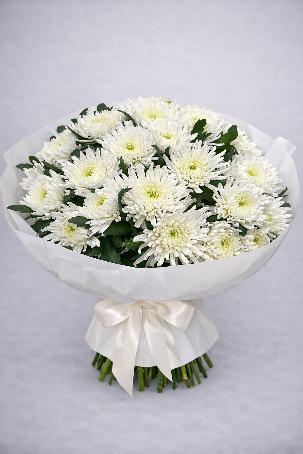 Lova Snow Chrysanthemums