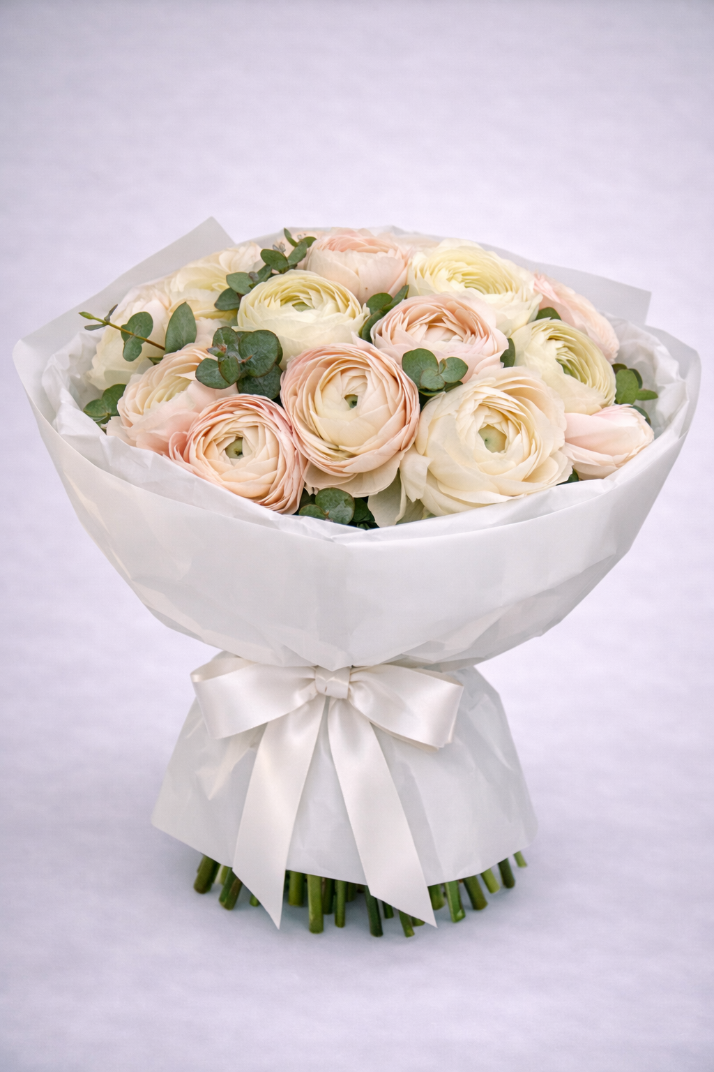 Lova Blush Ranunculus